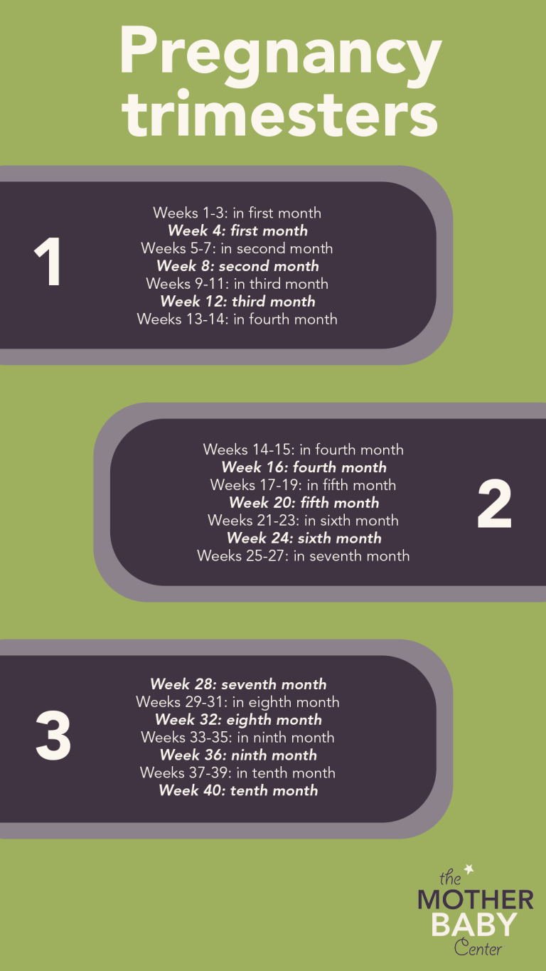 Trimester timeline: calculating pregnancy weeks to months - The Mother ...